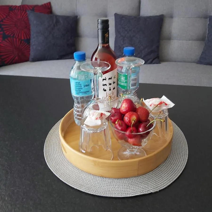 Wizjonerow Luxury Apartment & Garage Krakov Polsko